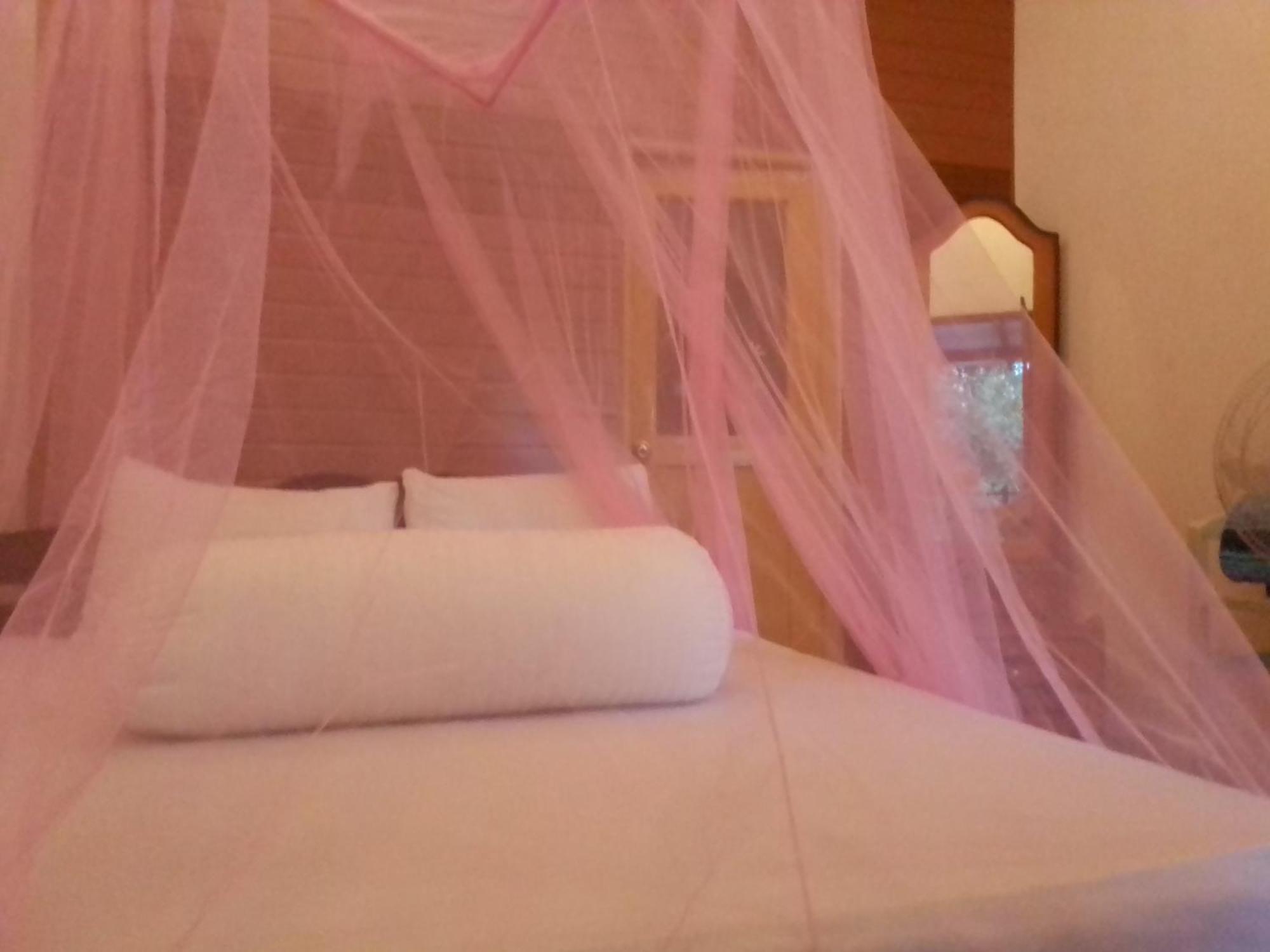 Talblick Homestay Ella Bilik gambar