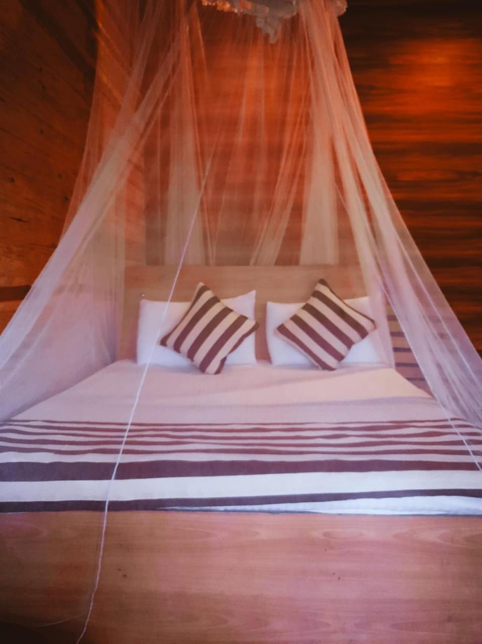 Talblick Homestay Ella Luaran gambar